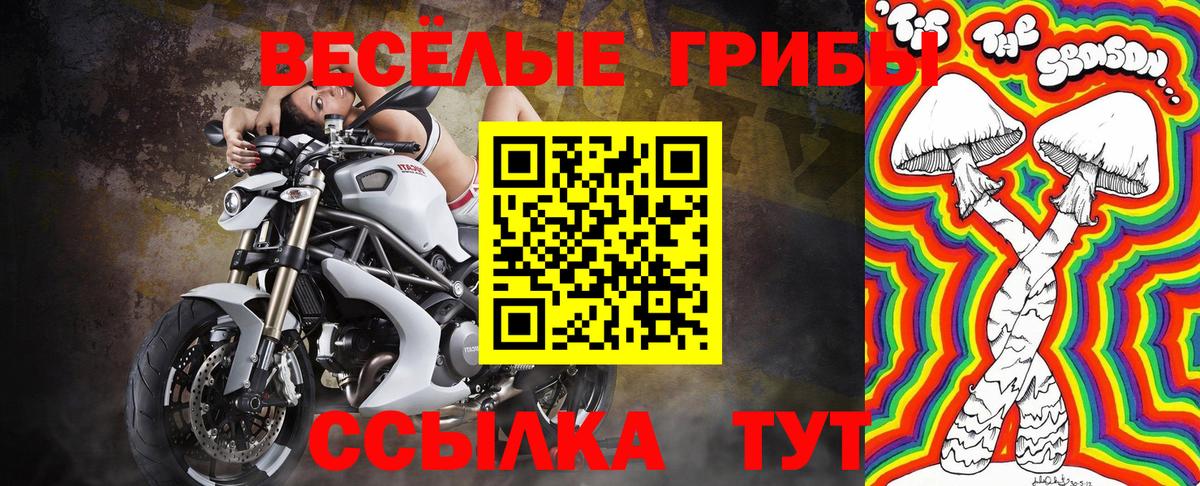 Галлюциногенные грибы прущие грибы Лесосибирск