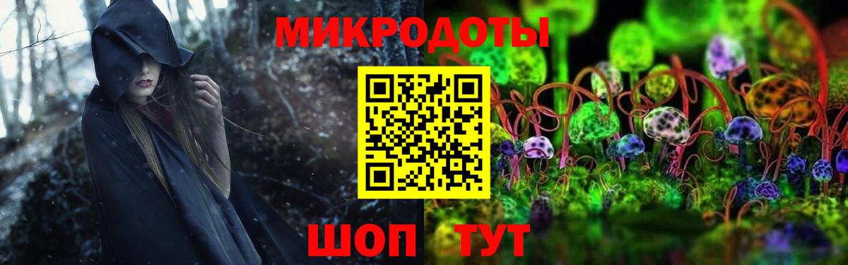 Лесосибирск  Псилоцибиновые грибы мицелий  Вход с VPN  Псилоцибиновые грибы Psilocybine cubensis 